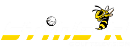 Stingr logo