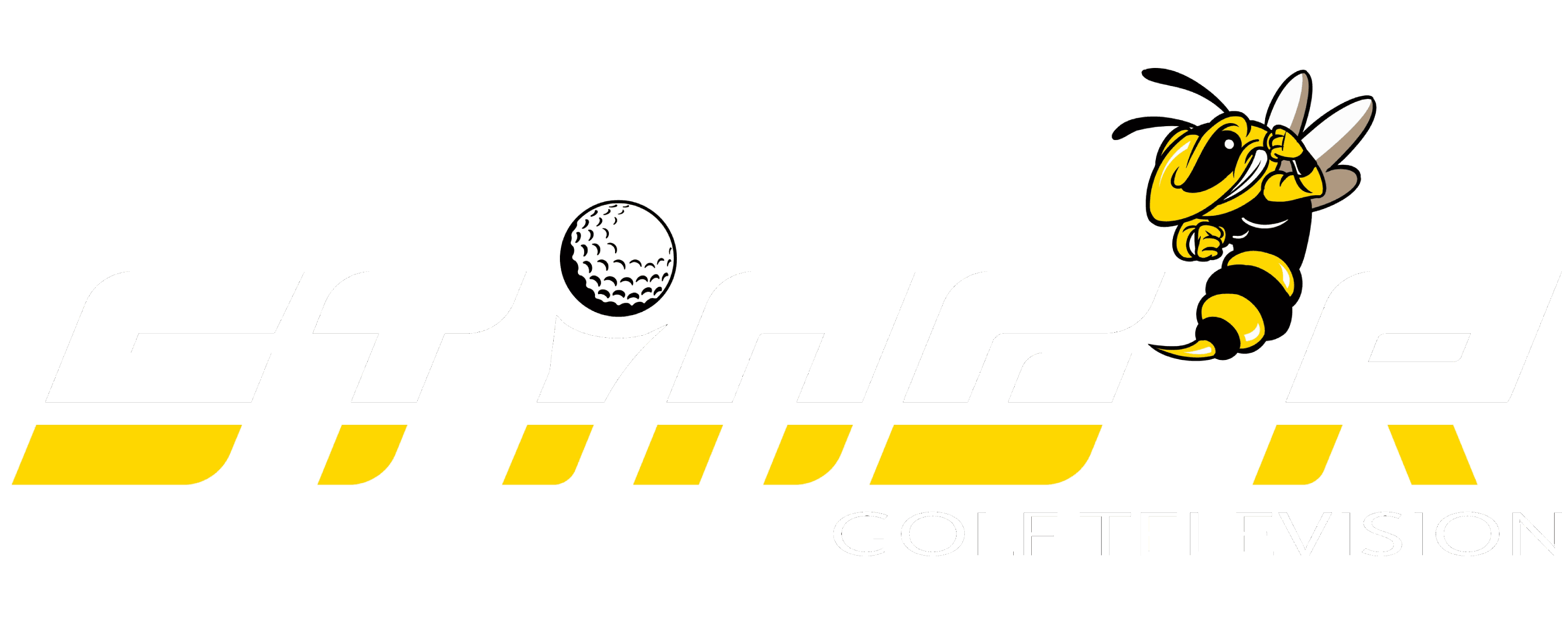 Stingr logo